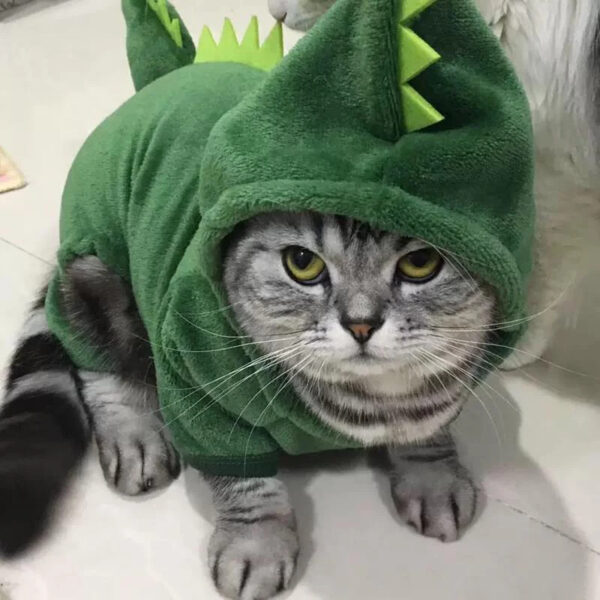 0|